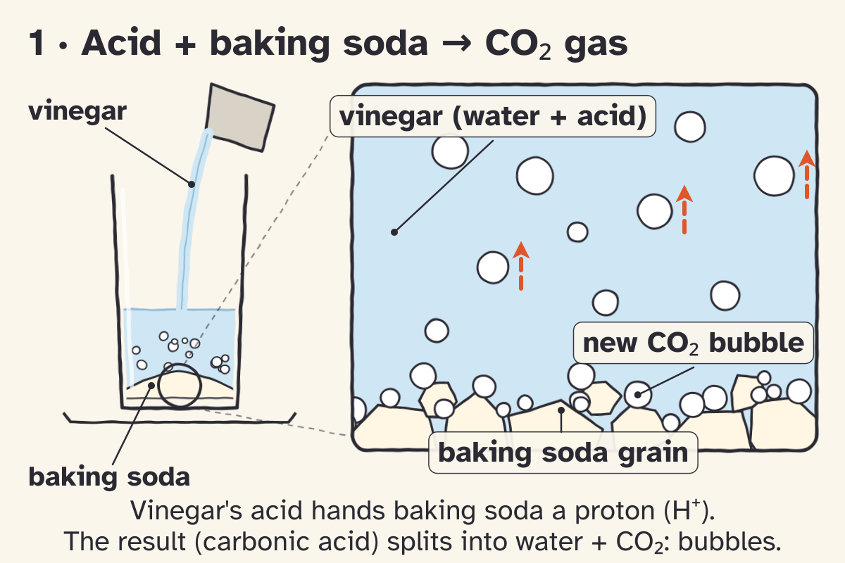Sketch panel 1, Acid plus baking soda makes CO2 gas. Vinegar pours onto baking soda in a glass on a tray; the zoom shows baking soda grains in vinegar (water plus acid) with new CO2 bubbles forming on the grains and dashed arrows as bubbles rise.
