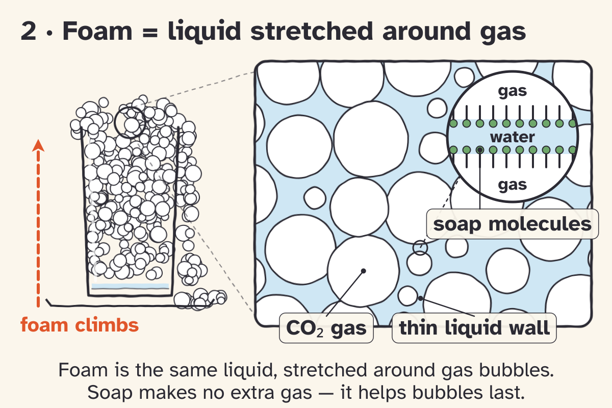 Sketch panel 2, Foam is liquid stretched around gas. Foam climbs out of the glass (dashed arrow); the zoom shows CO2 gas bubbles crowded in the liquid with thin liquid walls, and a close-up of one wall with soap molecules lined up on both faces, water in the middle and gas on each side.