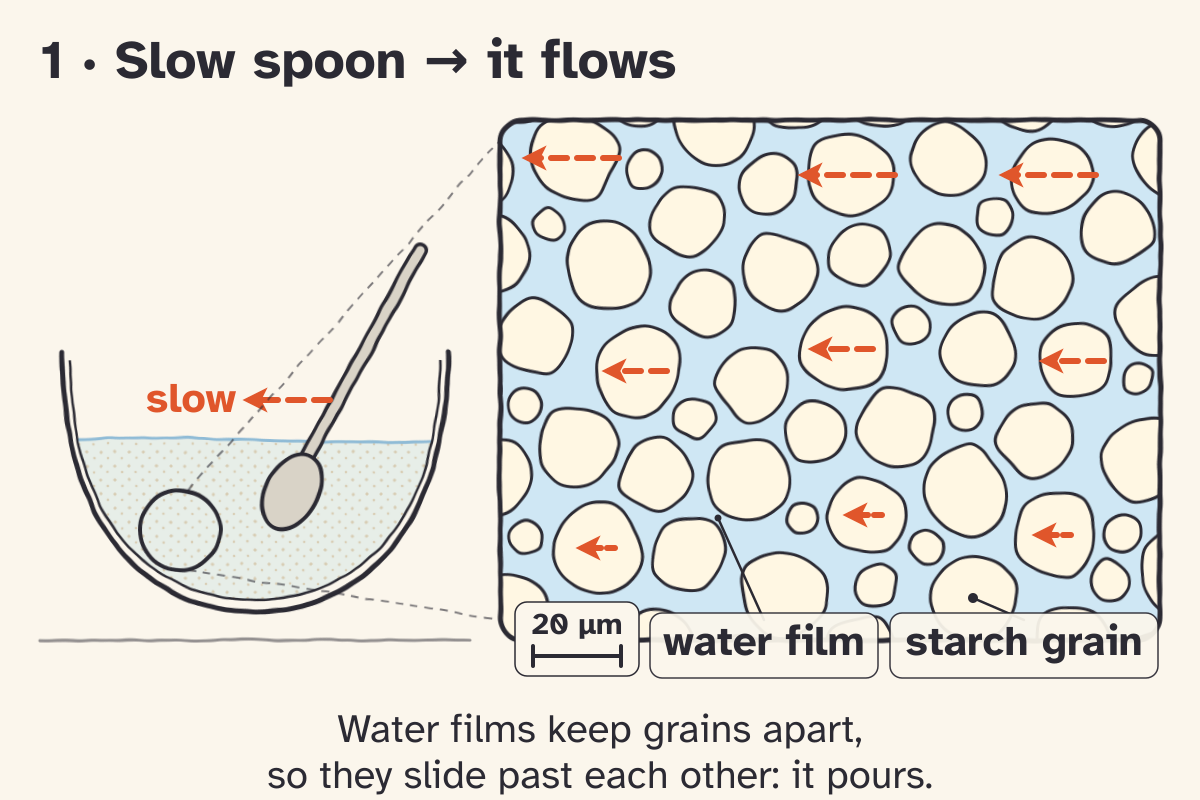 Sketch panel 1, Slow spoon, it flows. A spoon moves slowly through the bowl; the zoom (20 µm scale bar) shows starch grains in water with thin water films between them, and dashed arrows showing the grains sliding past each other, so the mix pours.