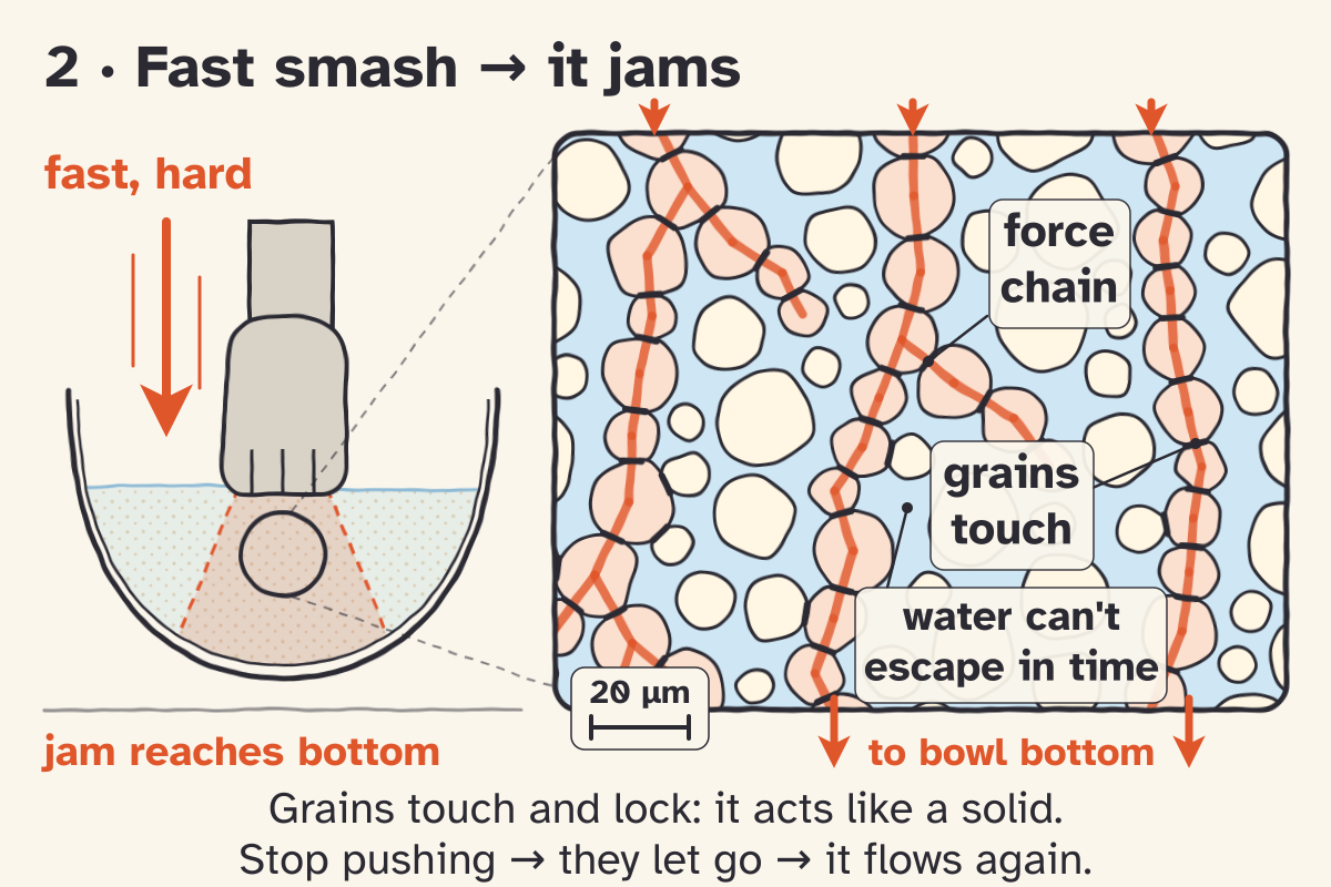 Sketch panel 2, Fast smash, it jams. A fist hits fast and hard; a jammed cone grows down to the bowl bottom. The zoom shows grains pushed into touching contact, water that can't escape in time, and orange force chains carrying the push to the bowl bottom, so it acts like a solid until you stop pushing.