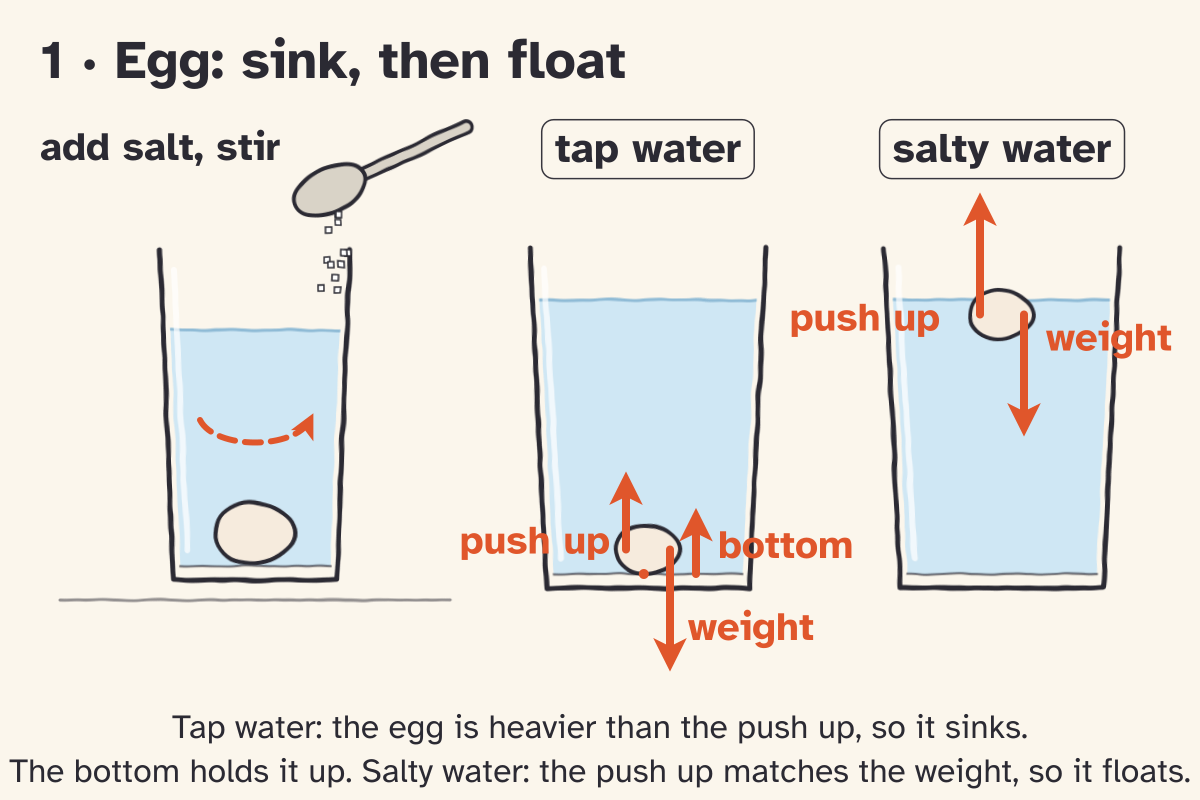 Sketch panel 1, Egg: sink, then float. Salt is stirred into a glass of water; side by side, the egg sits on the bottom in tap water, where the push up is a little shorter than its weight and the glass bottom carries the rest, and floats in salty water, where push up and weight are equal.